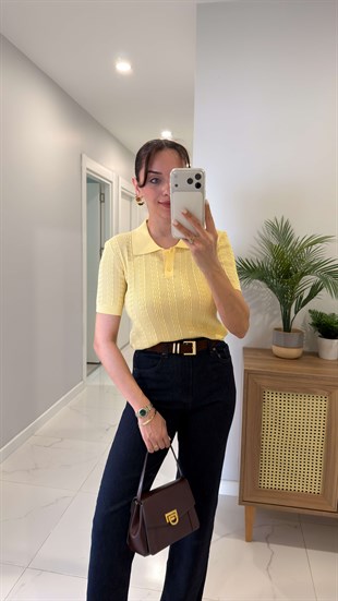 Dlvin Hollda Sarı Polo Yaka Ajurlu Triko