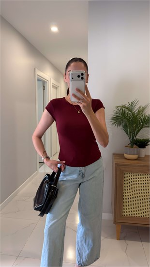 Dlvin Niss Açık Bordo Bisiklet Yaka Basic Tişört