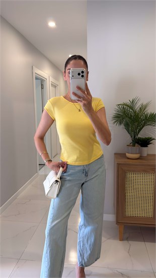 Dlvin Niss Sarı Bisiklet Yaka Basic Tişört