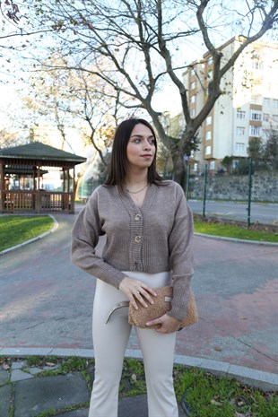 Vizon Üç Düğmeli Hırka