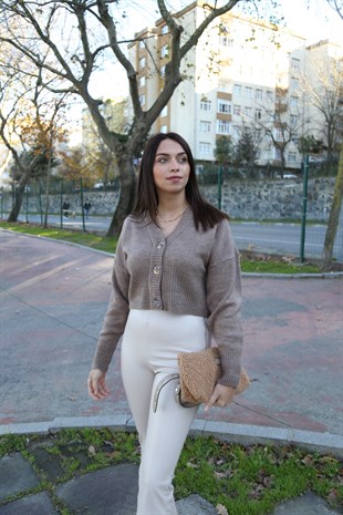 Vizon Üç Düğmeli Hırka