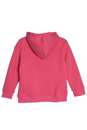 Pembe Renkli Cepli Kapüşonlu Genç Erkek Sweatshirt-JS 318703 |Silversunkids