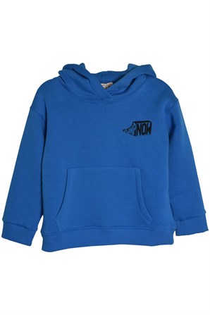 Saks Renkli Cepli Kapüşonlu Genç Erkek Sweatshirt-JS 318703 |Silversunkids