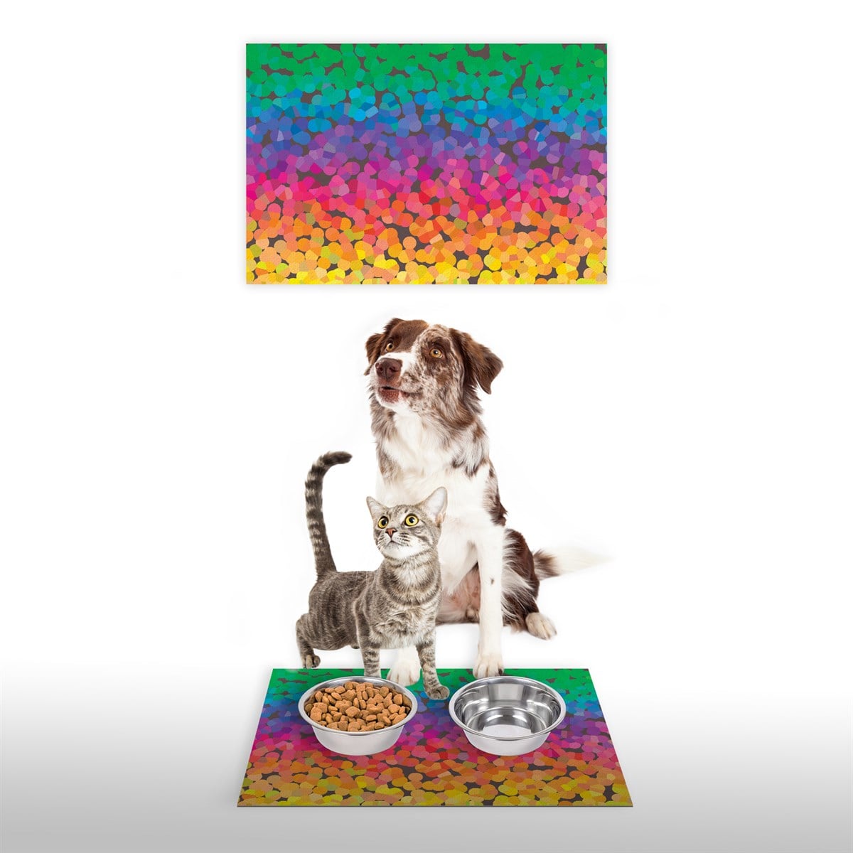 Vagonik Water Food Kedi Köpek Rainbow Desenli Dijital Baskılı 35x50cm Dekoratif Çok Amaçlı Iç Ve Dış Kapı Paspası Mama Paspası