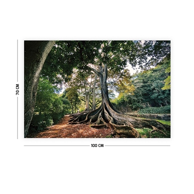 Vagonik Ağaç ve Orman Manzaralı Duvar Örtüsü