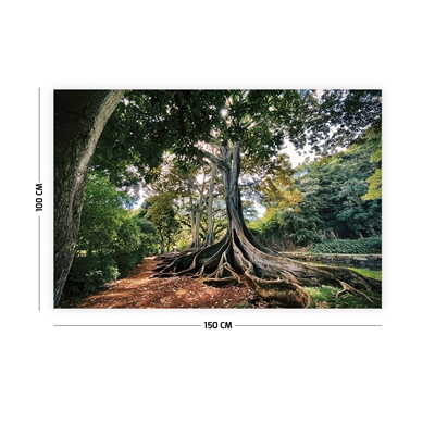 Vagonik Ağaç ve Orman Manzaralı Duvar Örtüsü