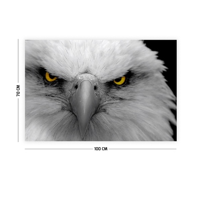 Vagonik Kara Kartal Duvar Örtüsü