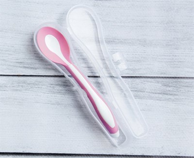 Mycey Taşıma Kutulu Mama Kaşığı Pembe