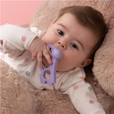 Wee Baby Prime Diş Kaşıyıcı Mor