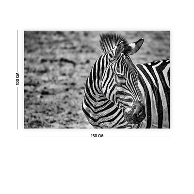 Vagonik Zebra Duvar Örtüsü