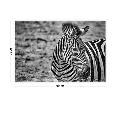 Vagonik Zebra Duvar Örtüsü