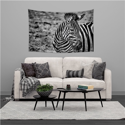 Vagonik Zebra Duvar Örtüsü