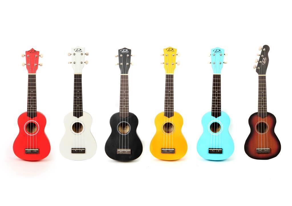 PUKA PK-10 RENKLİ SOPRANO UKULELE (KILIF+PENA+YEDEK TEL)
