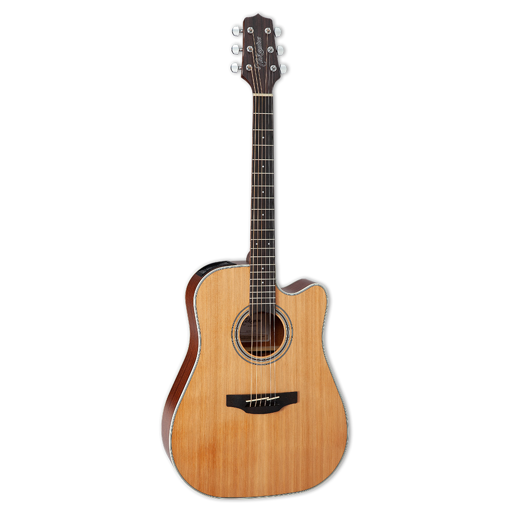 Takamine GD20CE-NS TP4-TD Elektro Akustik Gitar (KILIF+ASKI+JAK+PENA)