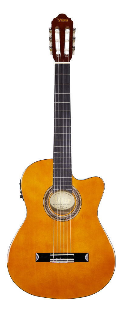 VALENCIA VC104THNCE ELEKTRO KLASİK GİTAR (KILIF+PENA)