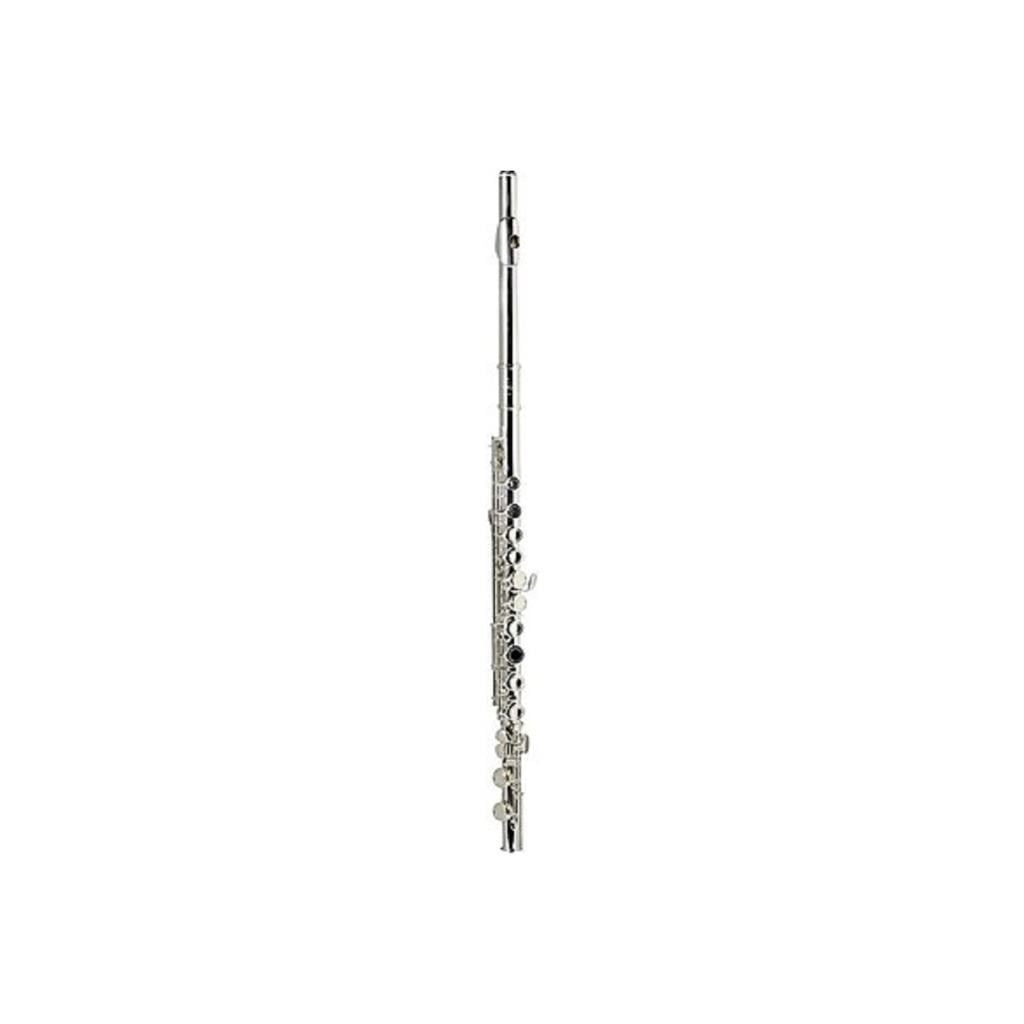 Wisemann DFL-100 Yan Flüt