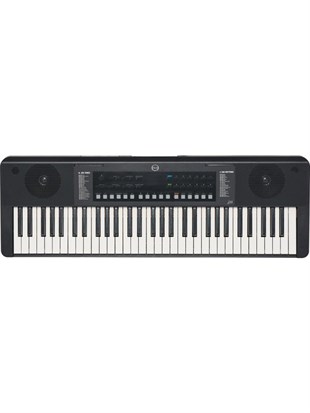 Medeli Dante D115 61 Işıklı Tuşlu Org