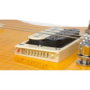 Epiphone Slash AFD Les Paul Performance Pack Elektro Gitar Seti
