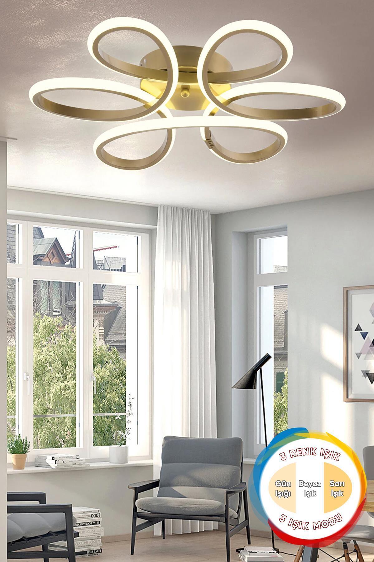 Elvis Modern Eskitme Plafonyer Tavana Sıfır 3 Renk Işık Salon Mutfak Yatak Odası Led Avize