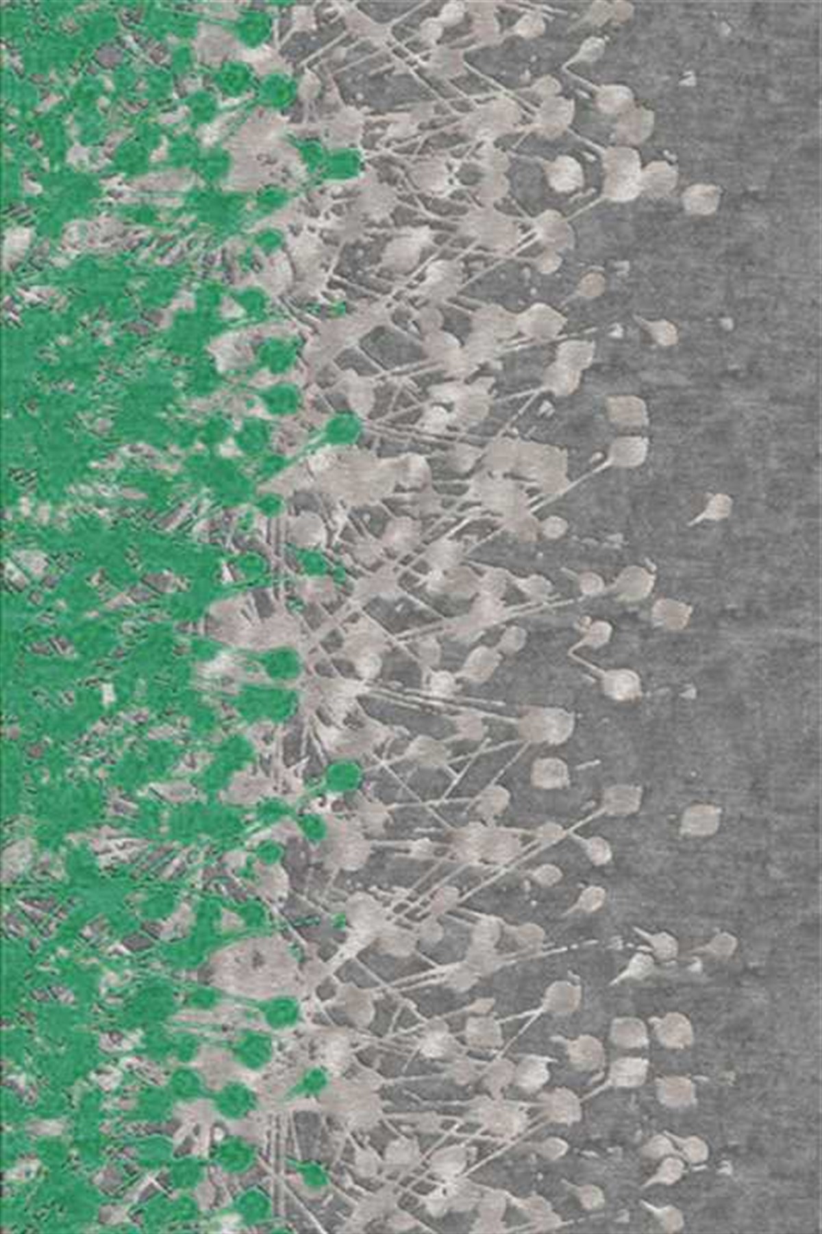 Hitit Yolluk Halı 80x140 Lidya Lüx 4024