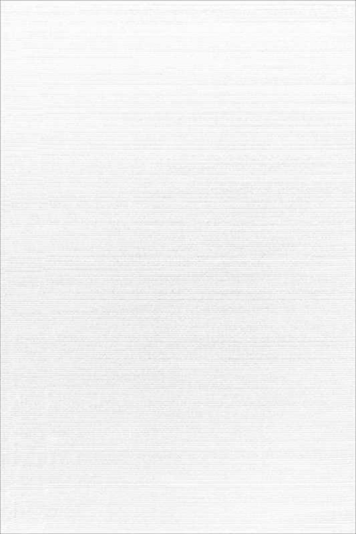 Hitit Yolluk Halı 80x140 Lidya Lüx 4490