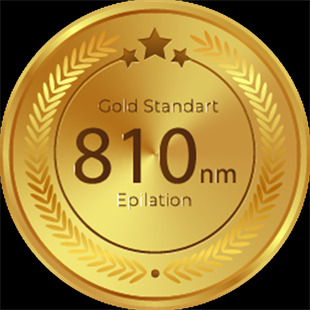 Gold Series Masaüstü QSWITCH Dövme Silme Cihazı