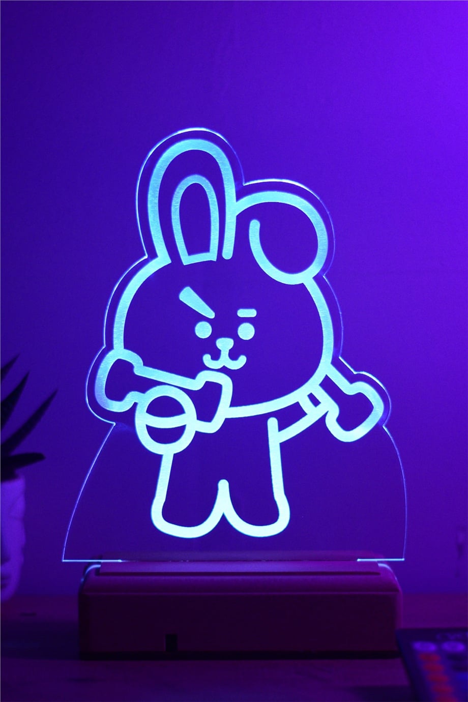 BT21 Cooky Bts Jeon Jungkook 16 Renk Kumandalı Gece Lambası