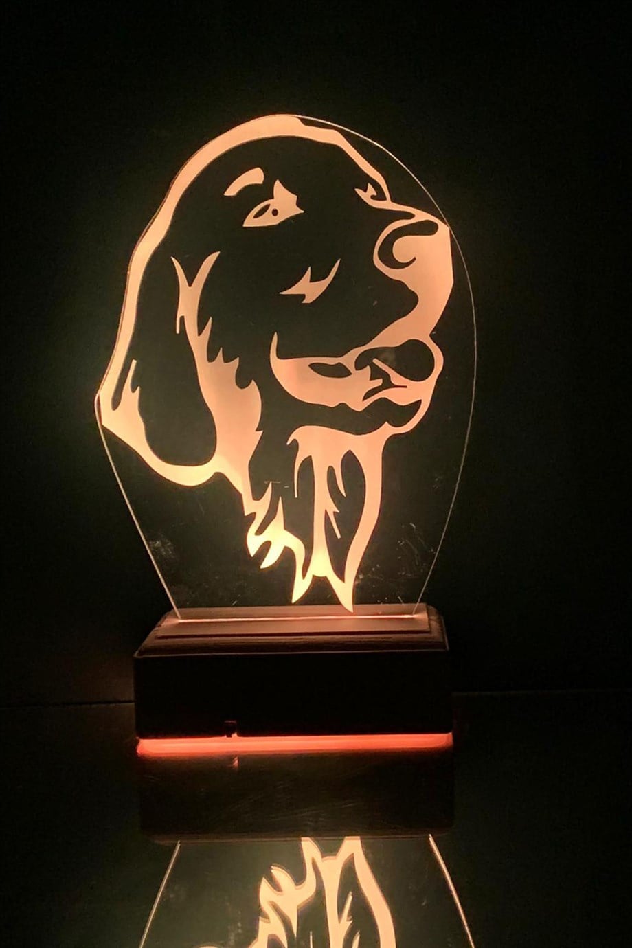 GOLDEN KÖPEK 3D 16 Renk Dekoratif Lamba