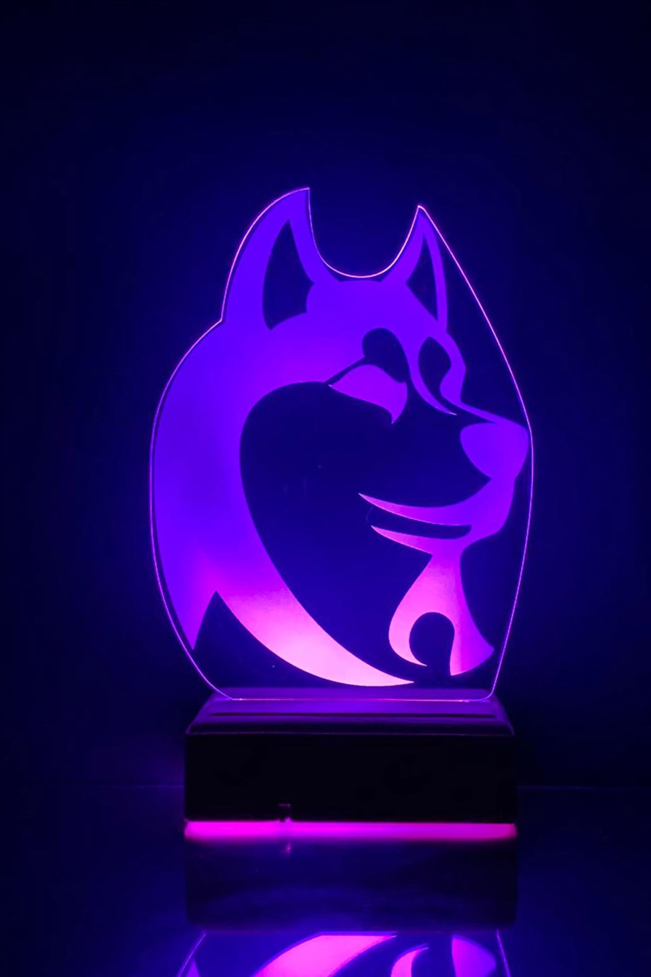 Husky Köpek 3D 16 Renk Gece Lambası