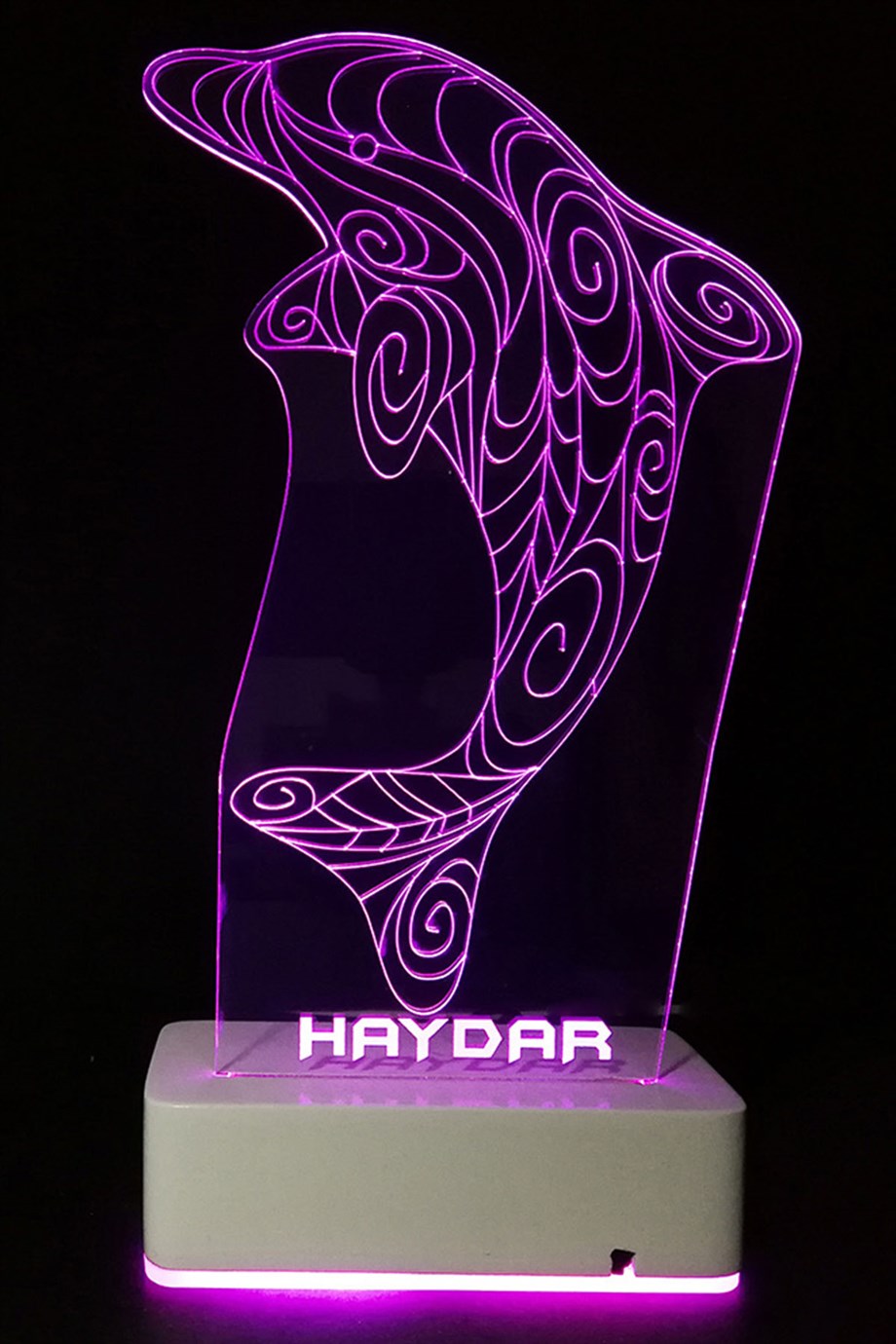 Kişiye Özel 3D Yunus 16 Renk Dekoratif Led Lamba