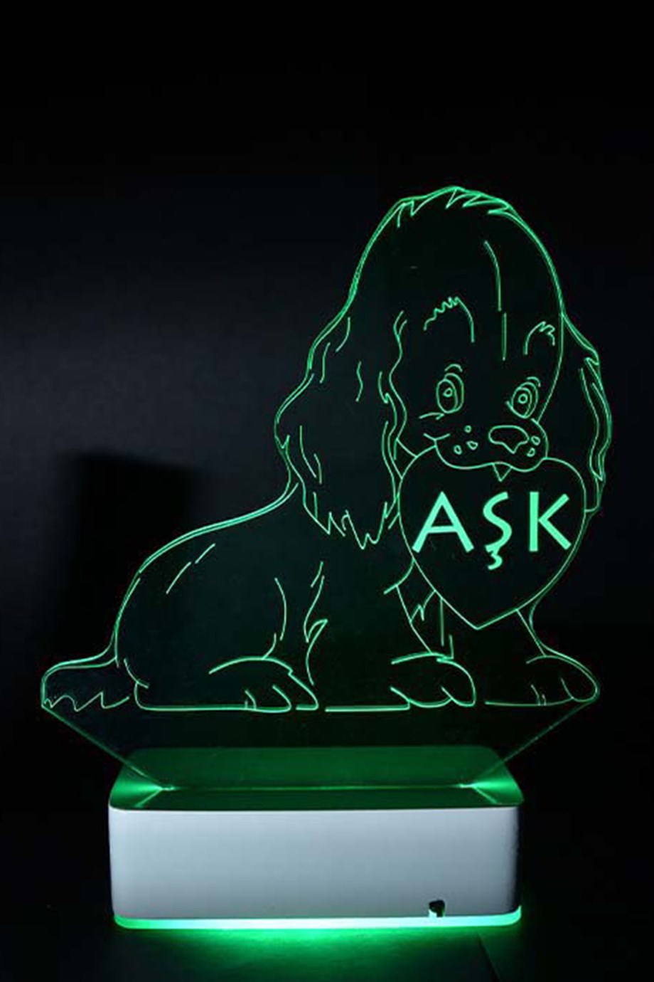 Kişiye Özel Kalp ve Köpek 3D 16 Renk Dekoratif Led Lamba