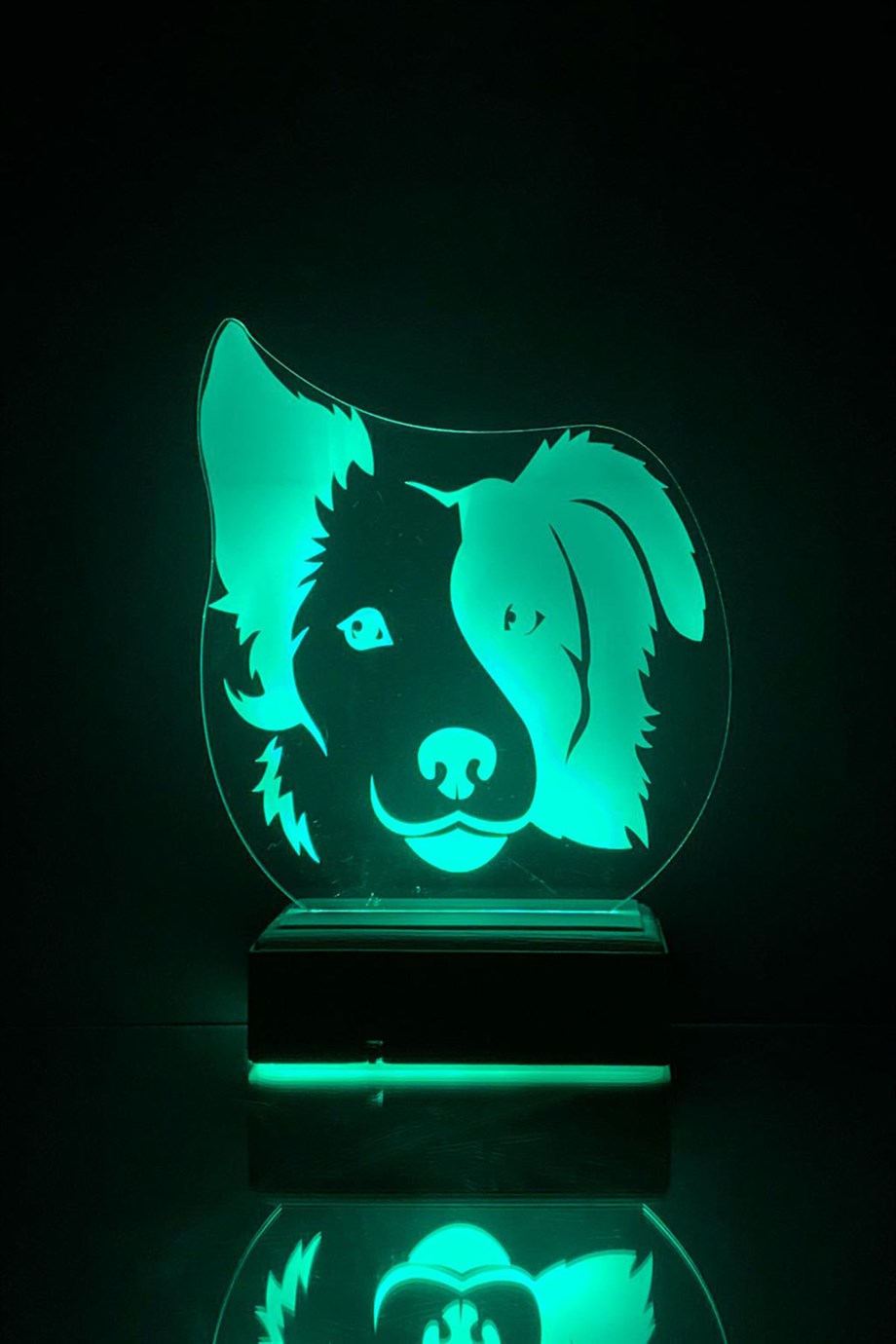Köpek 3D 16 Renk Gece Lambası