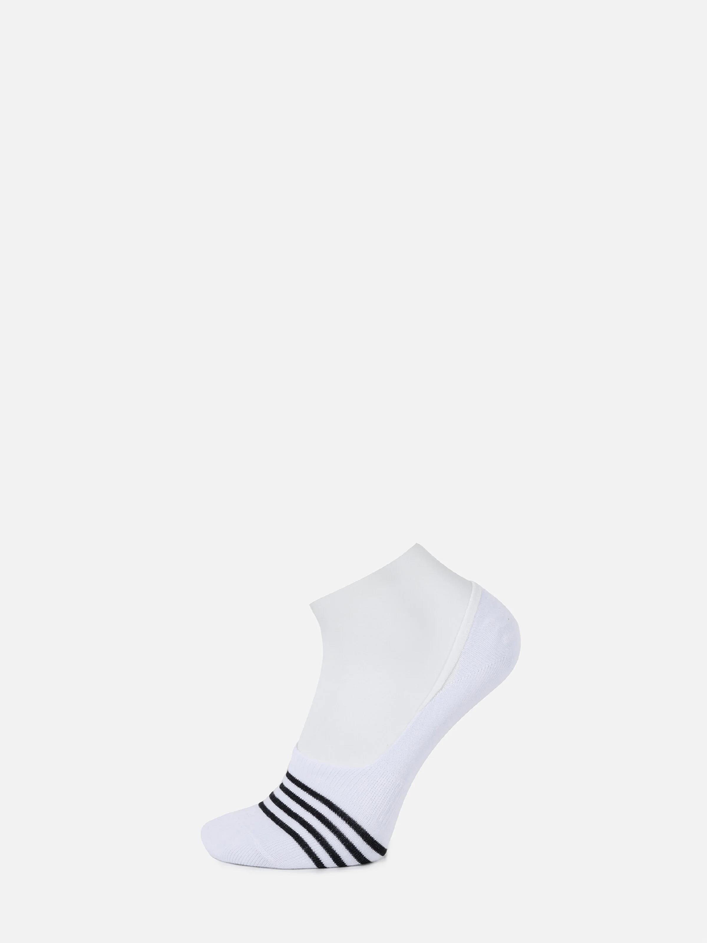 AKSESUAR KADIN ÇORAP Modern Fit