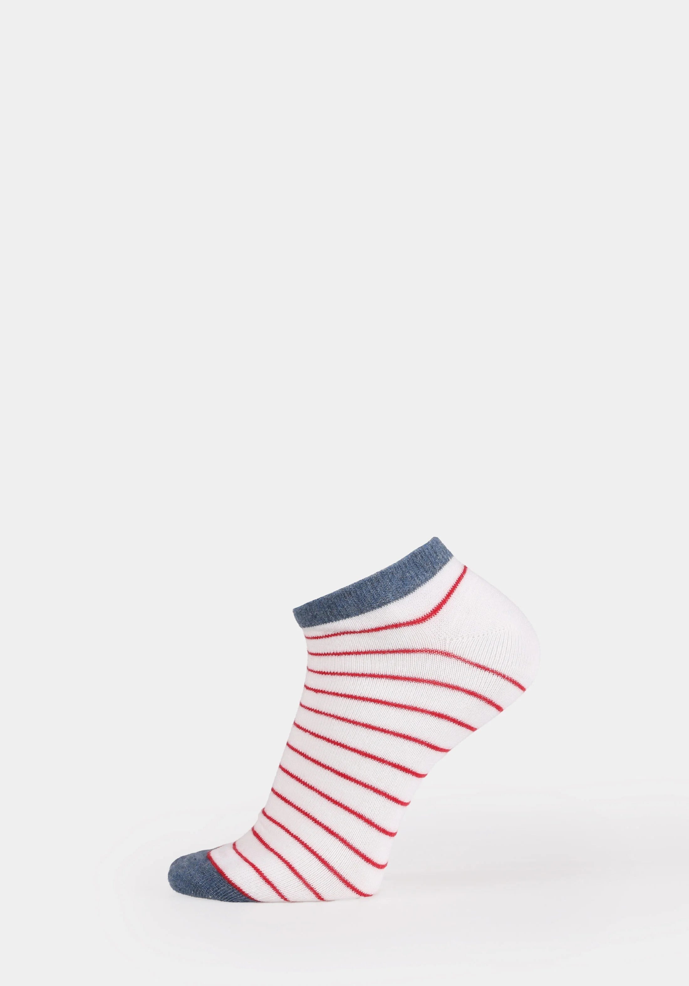 AKSESUAR KADIN ÇORAP Modern Fit