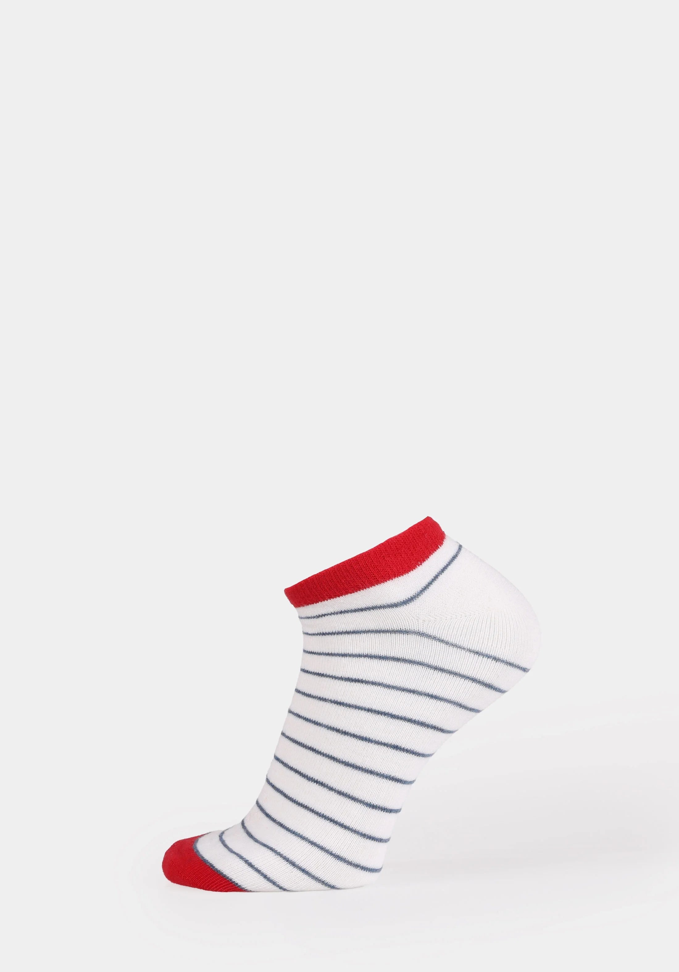 AKSESUAR KADIN ÇORAP Modern Fit