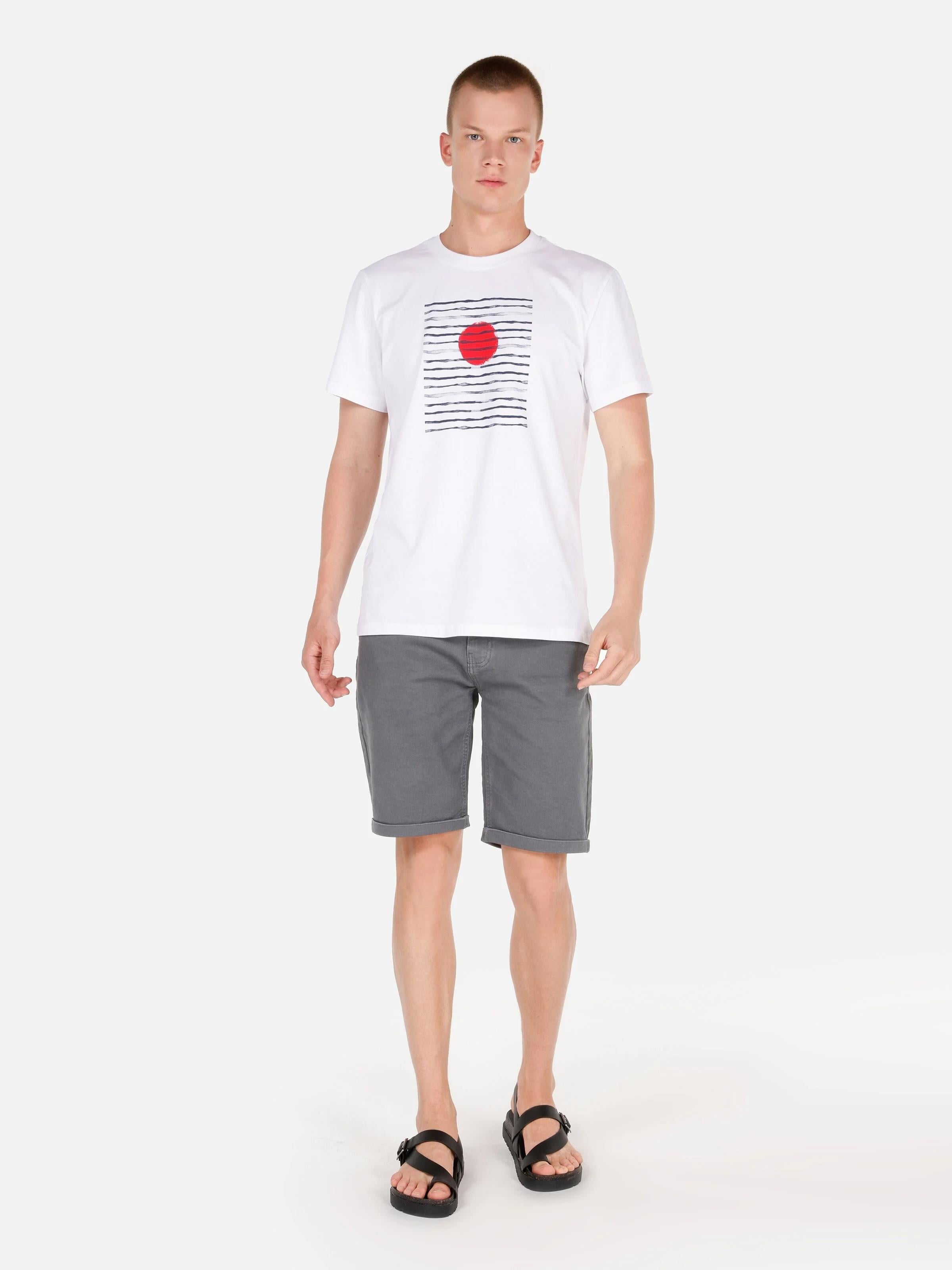 DOKUMA ALT ERKEK ŞORT Regular Fit
