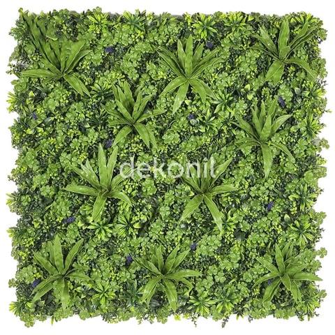 DEKORATİF BİTKİLER