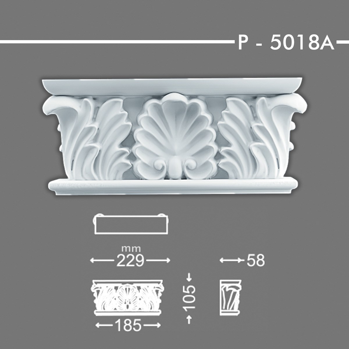 SÜTUN BAŞLIĞI P-5018A