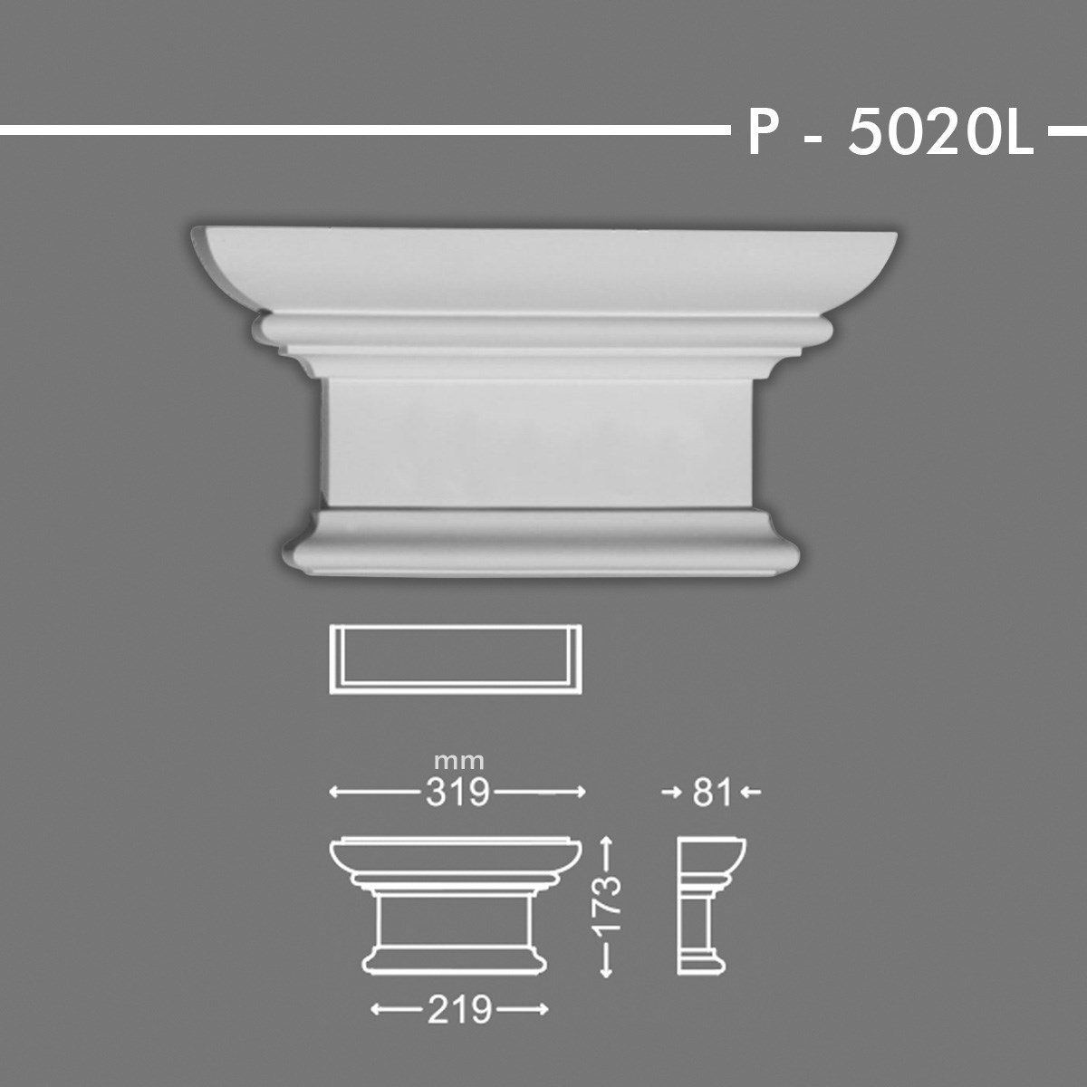 SÜTUN BAŞLIĞI P-5020L