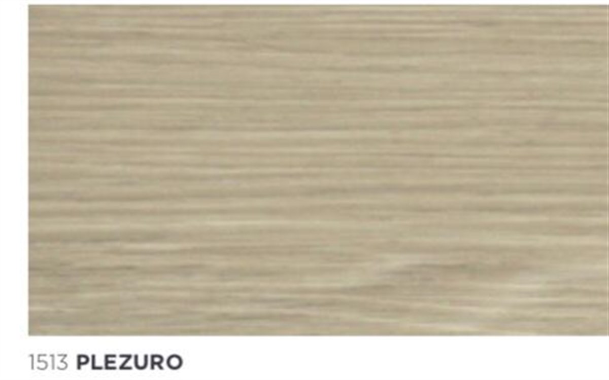 1513 Plezuro 