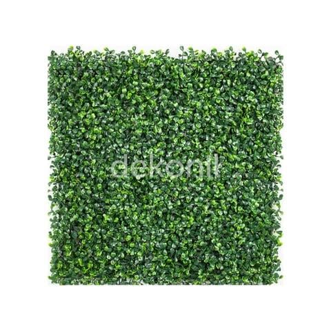 DEKORATİF BİTKİLER