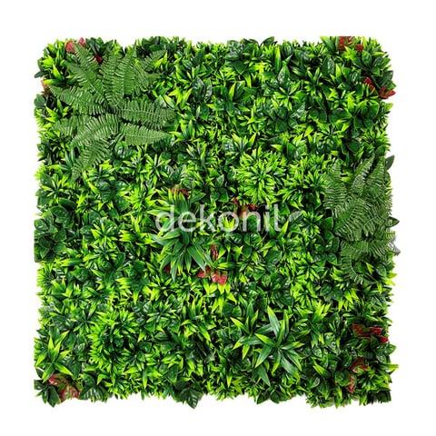 DEKORATİF BİTKİLER