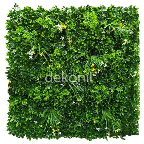 DEKORATİF  BİTKİLER