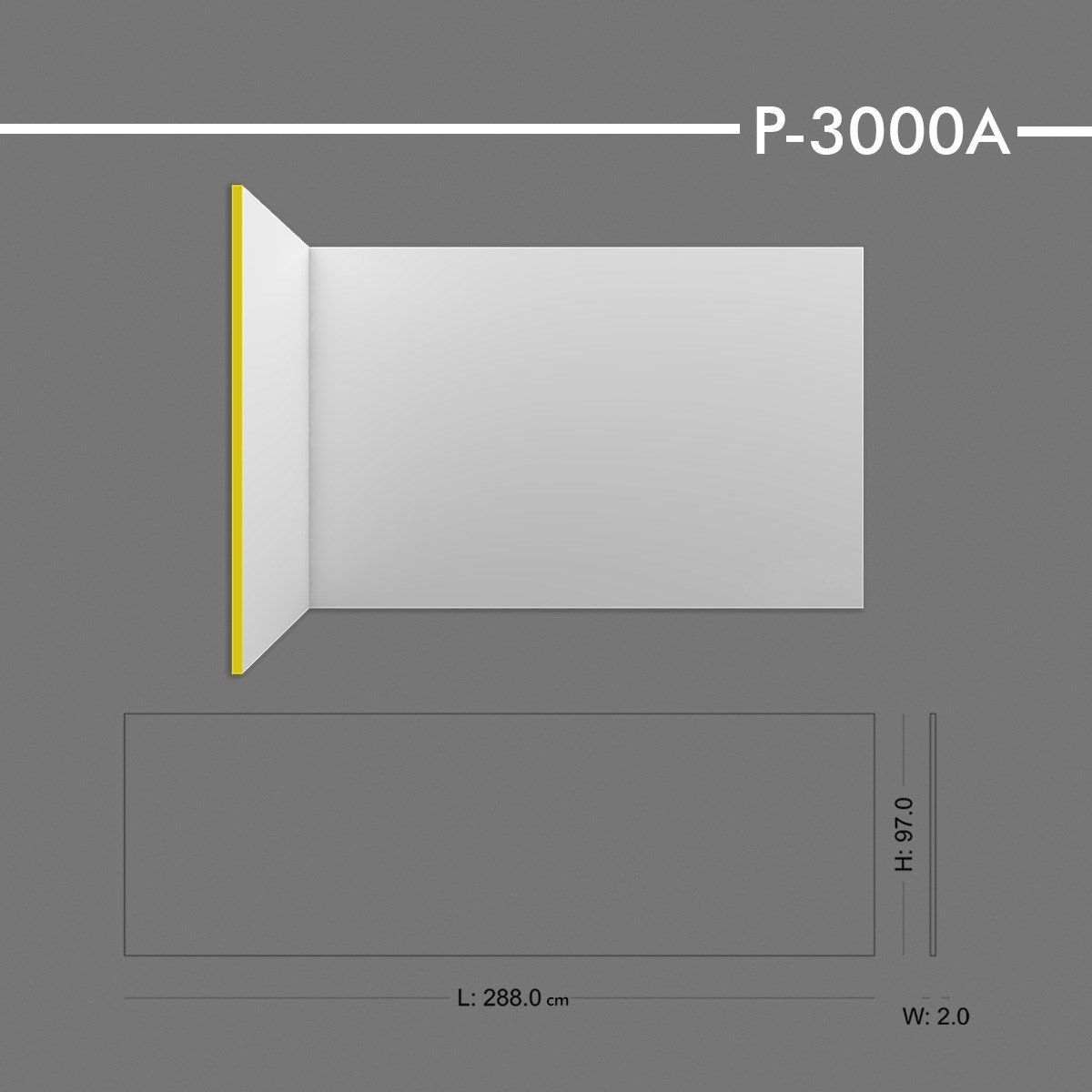 P-3000A Panel