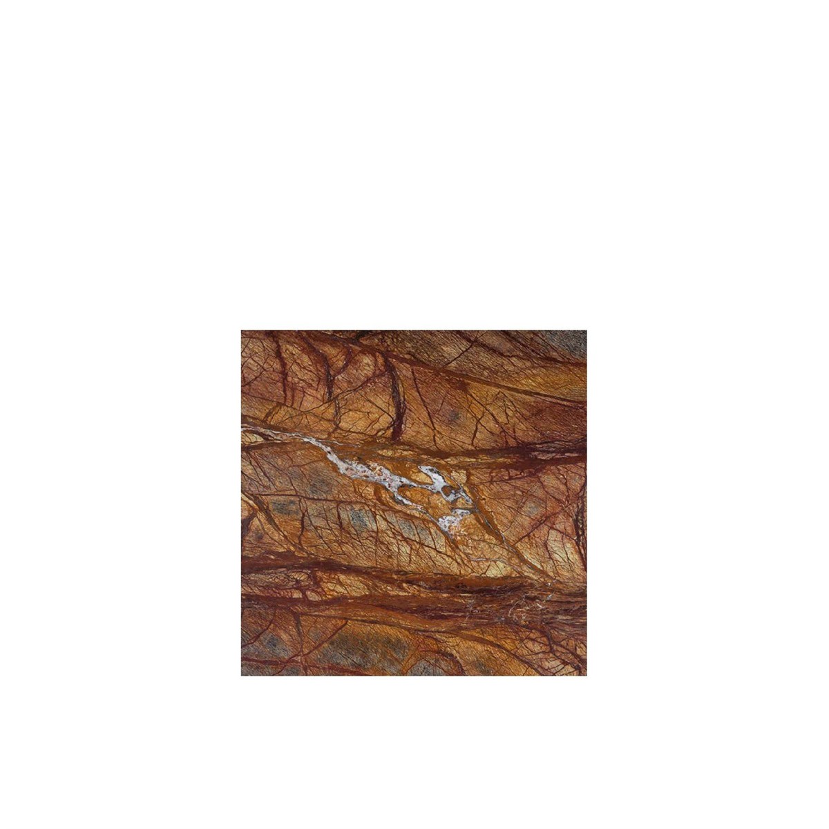 T286 Rain Forest Brown Marble