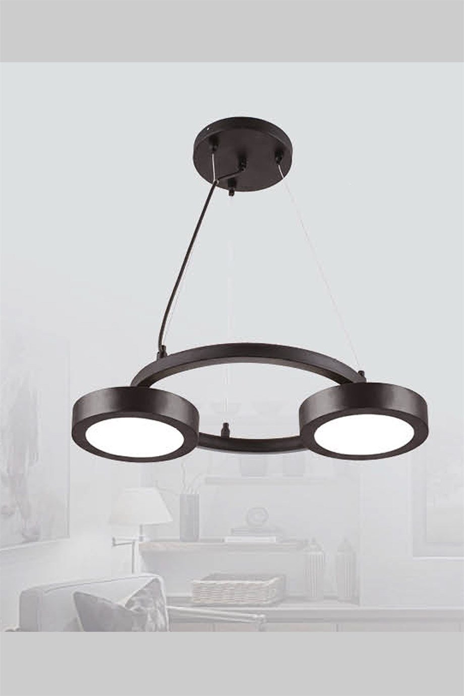 11005-2 Blk Ledli Avize