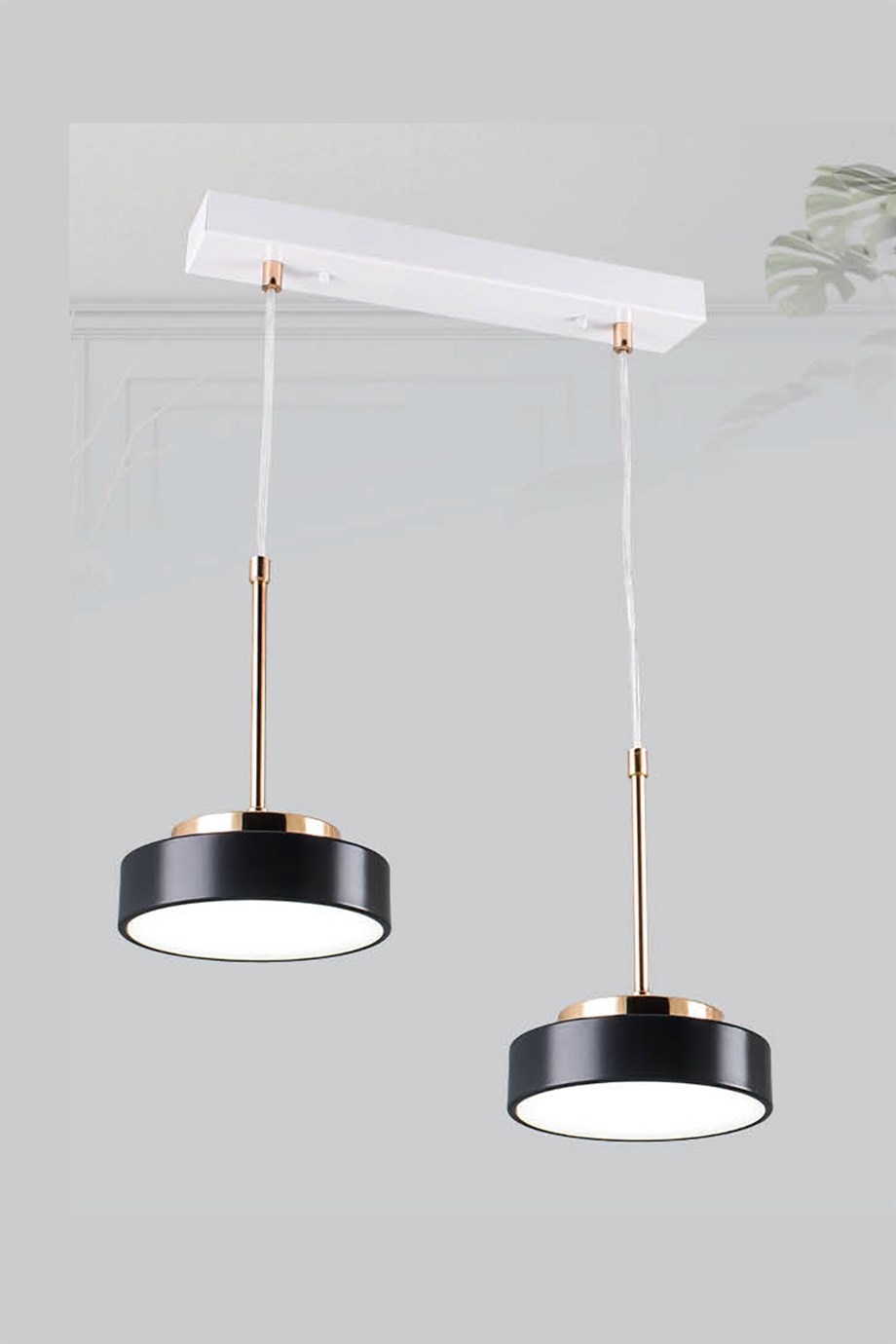 12325-2-Blk ledli Avize