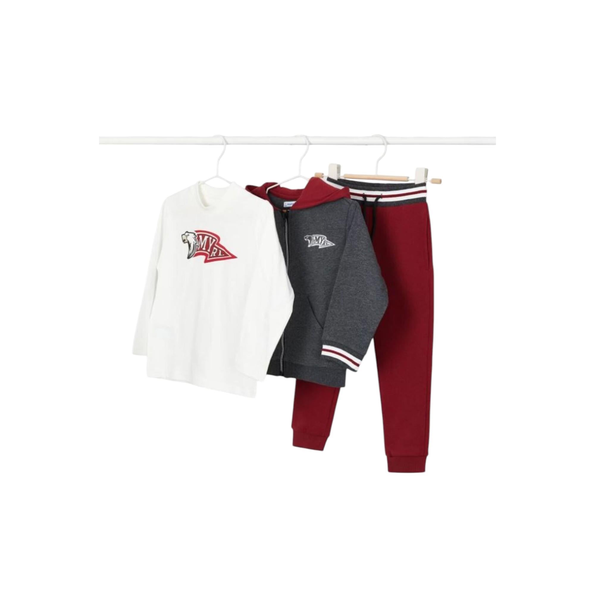Erkek Çocuk 3 Lü Eşofman Set 4878