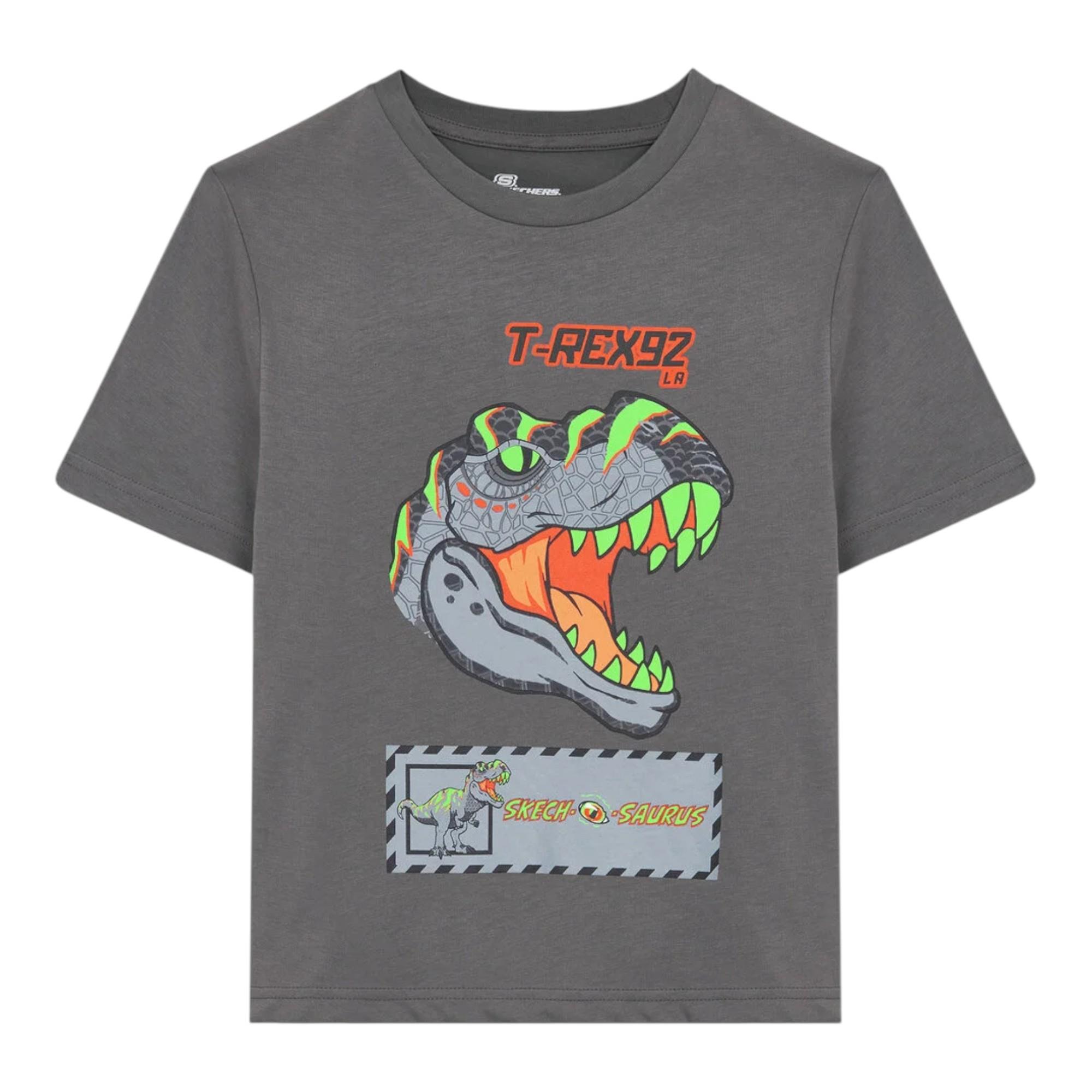 Erkek Çocuk Gri Tshirt SK241093-035