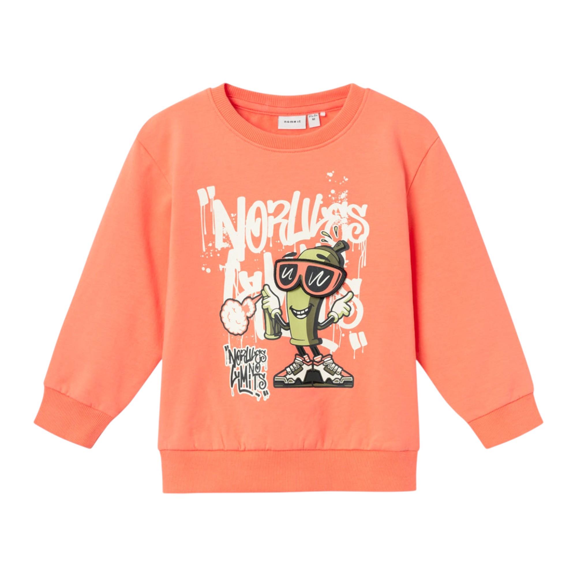 Erkek Çocuk Sweatshirt